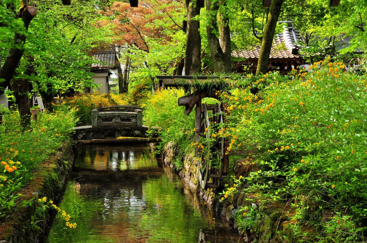 松尾大社（京都府）