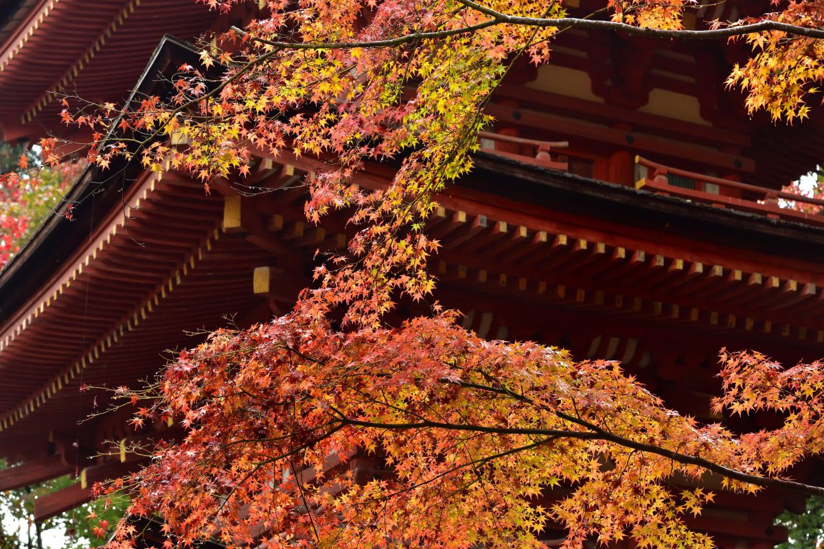 浄瑠璃寺（京都府）