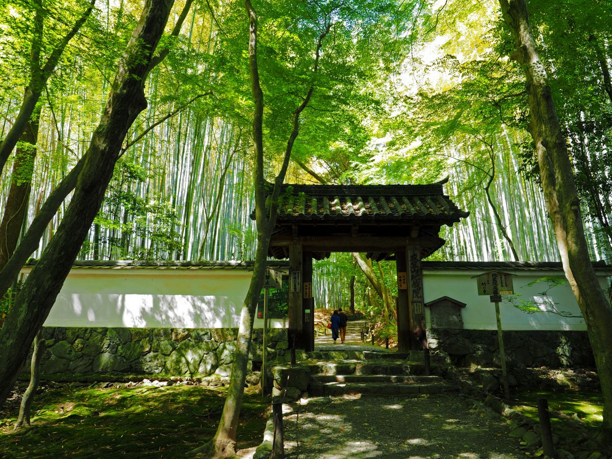 京都　地蔵院（京都府）