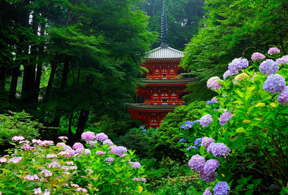 岩船寺（京都府）