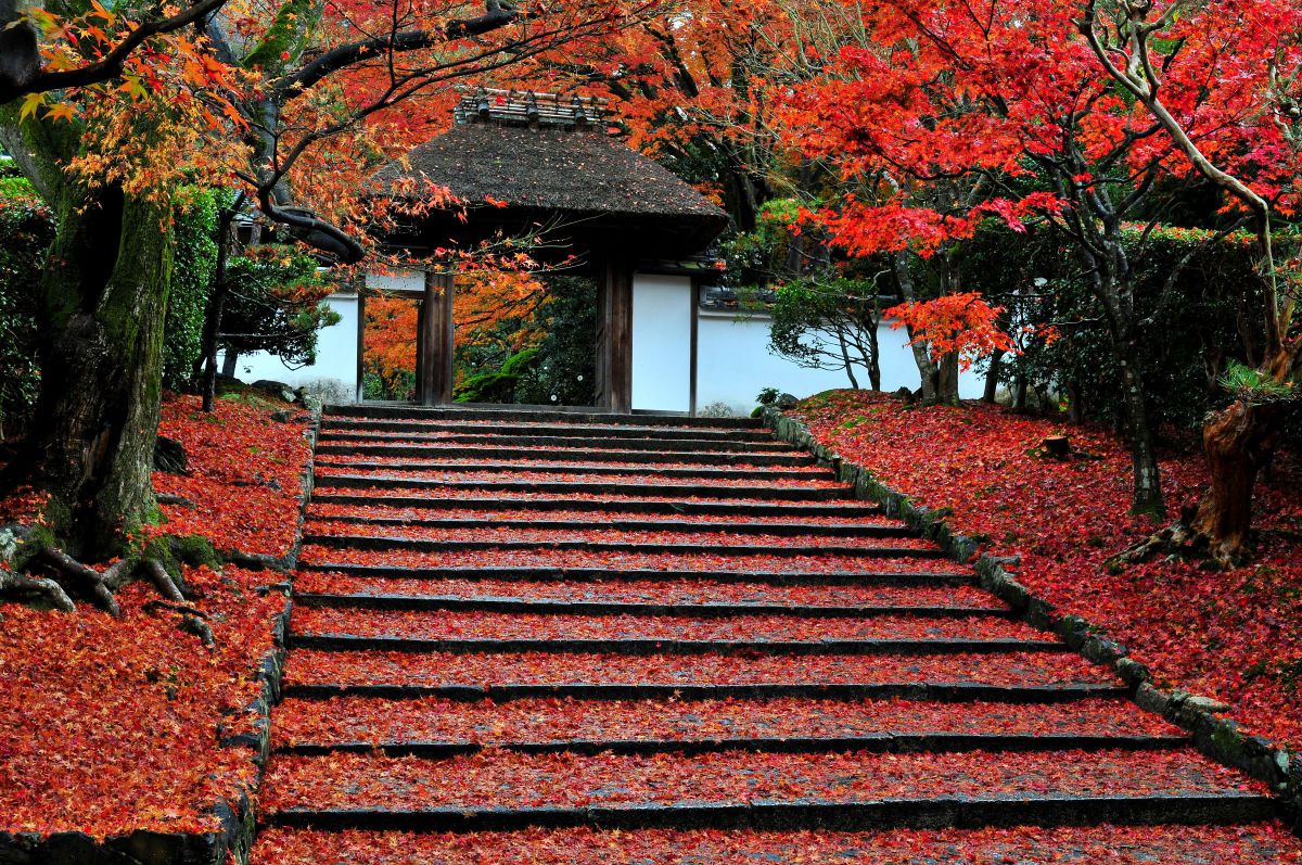 京都　安楽寺（京都府）