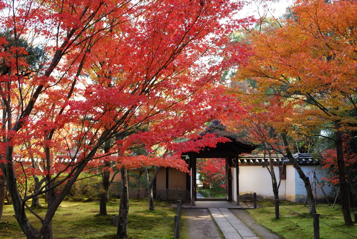 一休寺（京都府）