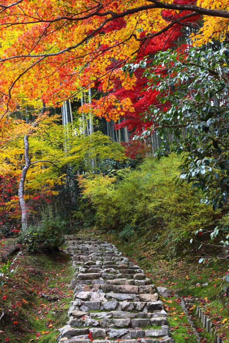 京都　直指庵