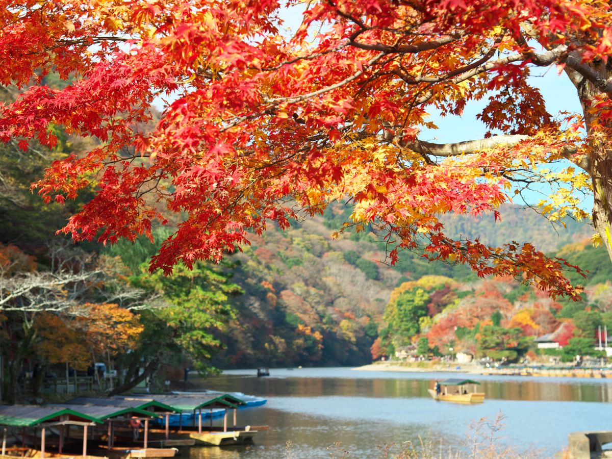 大堰川（京都府）