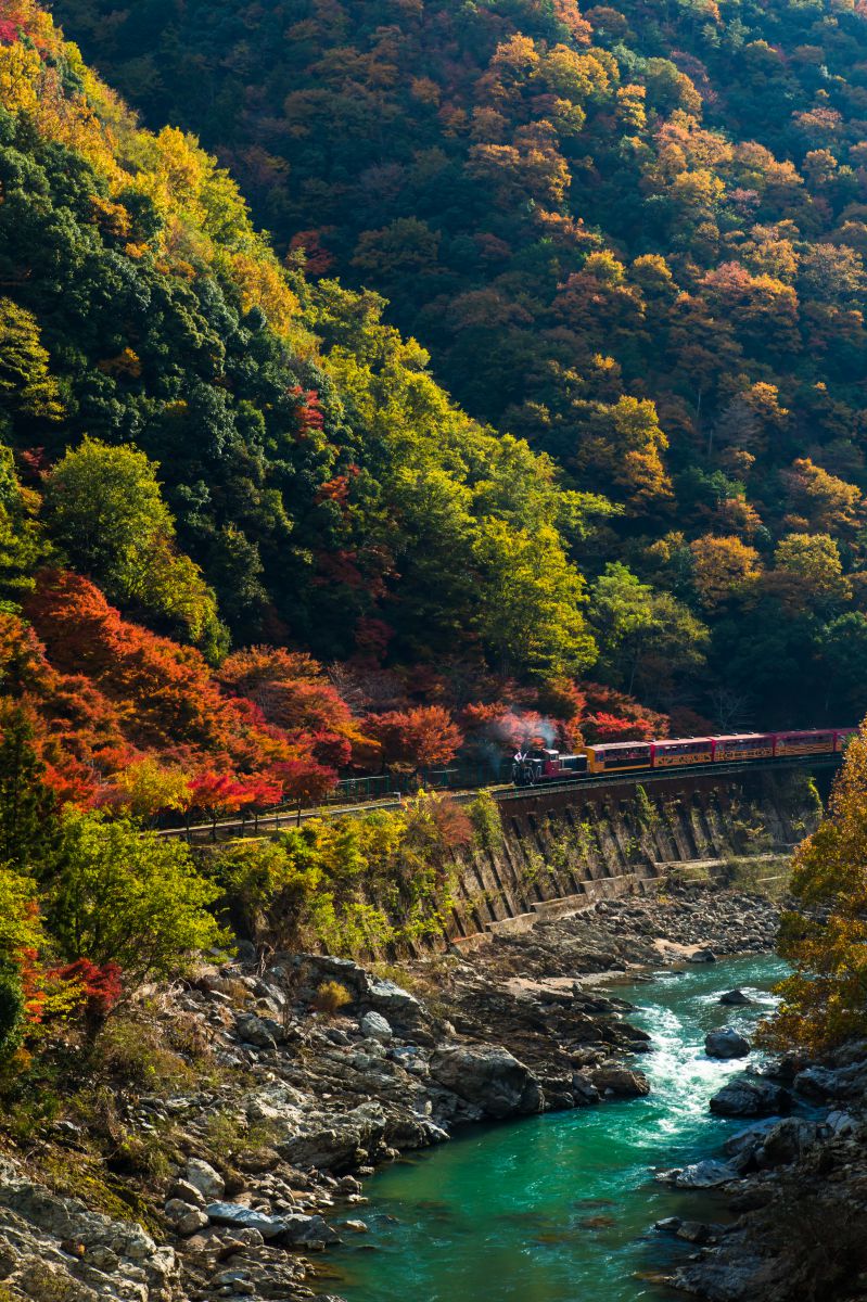 嵯峨野トロッコ列車（京都府）