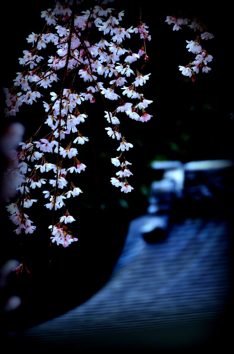 京都　大石神社