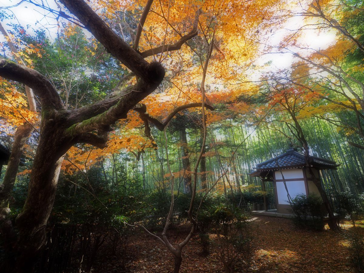 滝口寺（京都府）