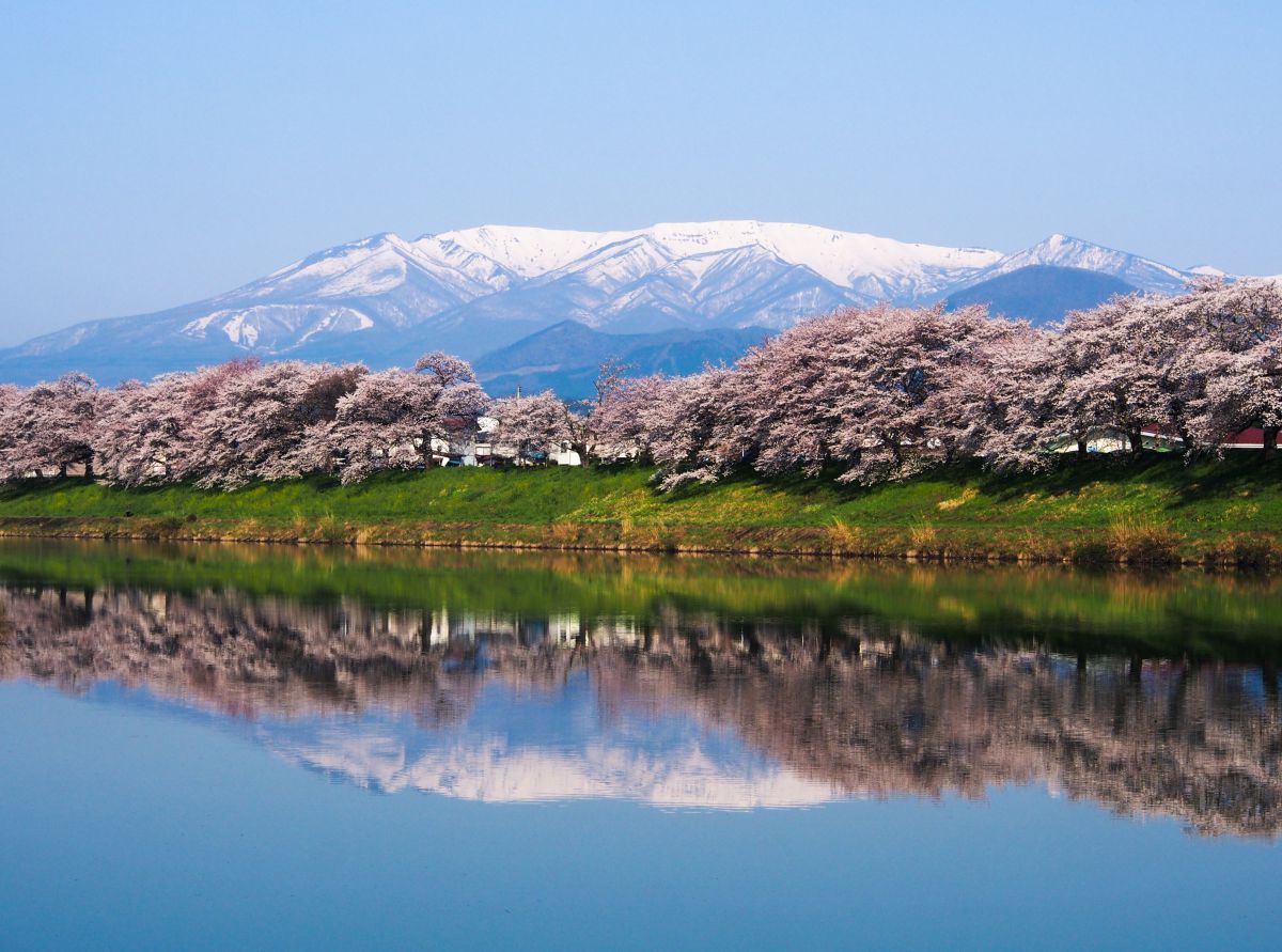 一目千本桜（宮城県）