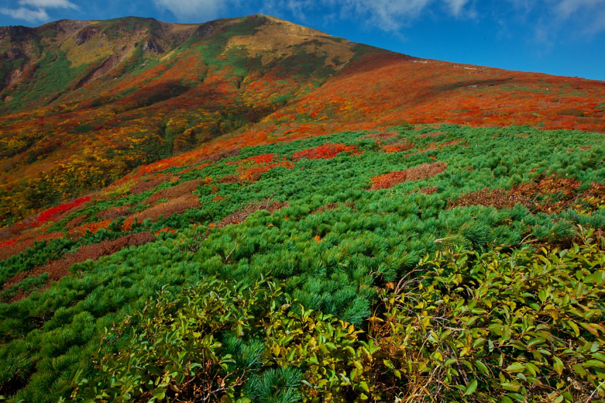 宮城　栗駒山（宮城県）