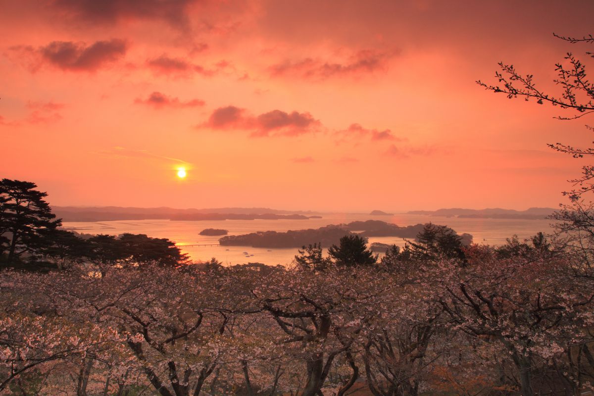 西行戻しの松公園（宮城県）