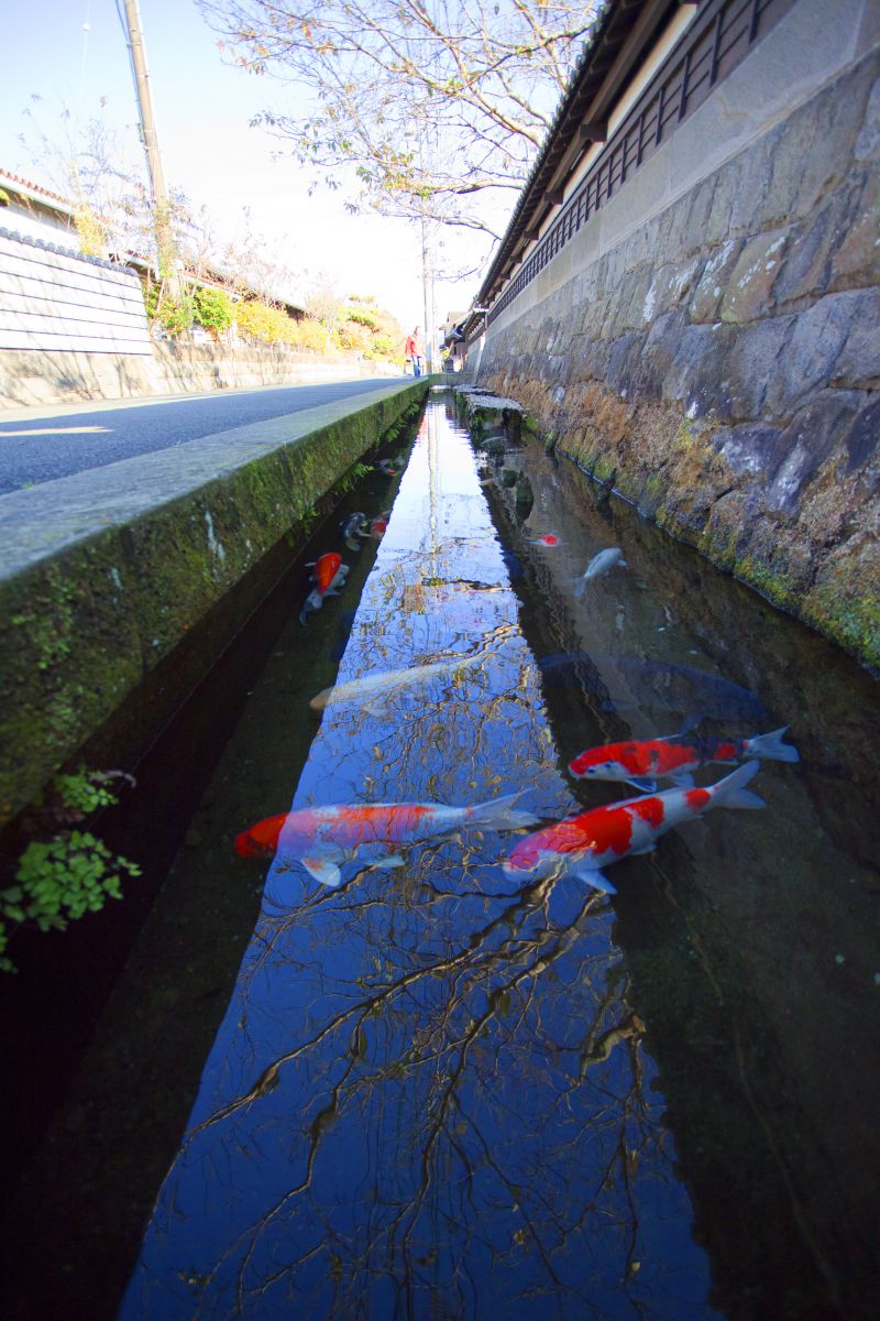 飫肥（宮崎県）