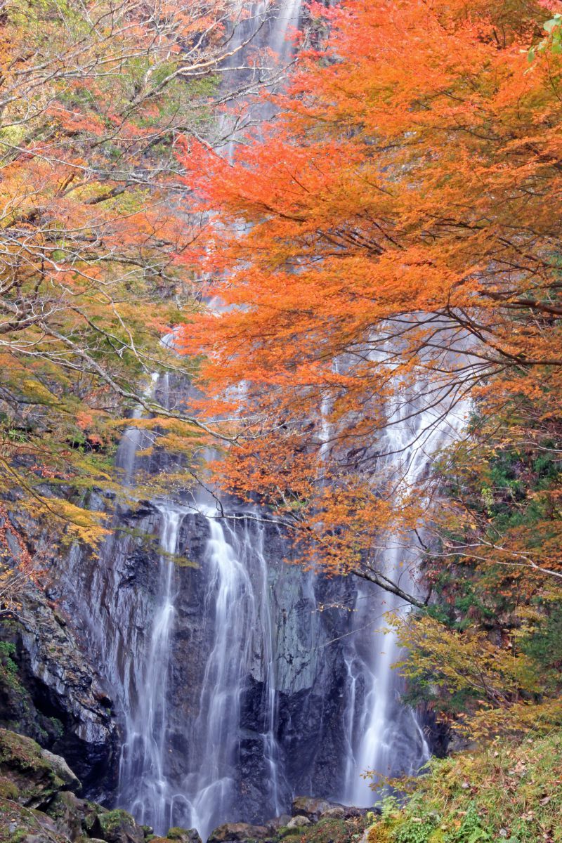 宮崎　白滝