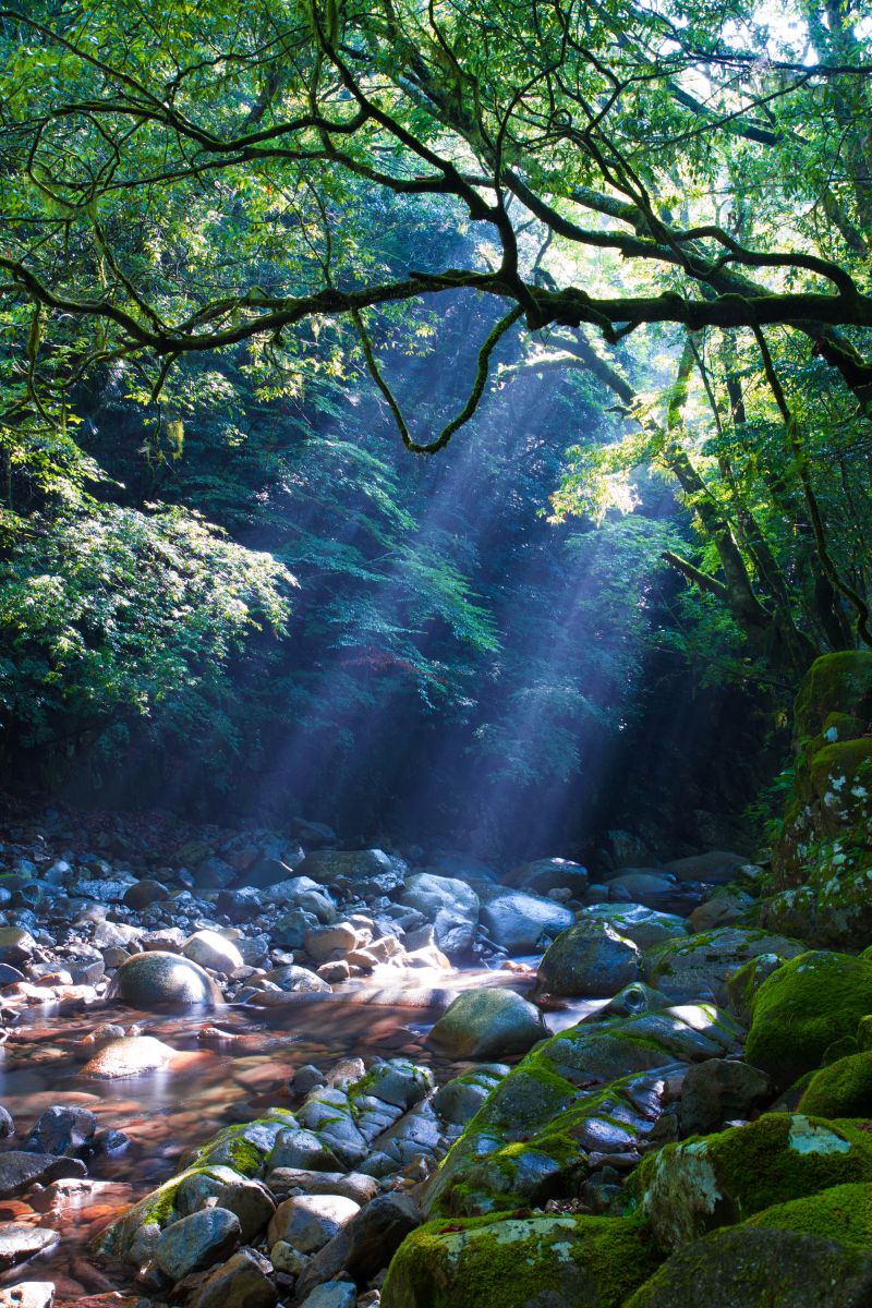 尾鈴山（宮崎県）