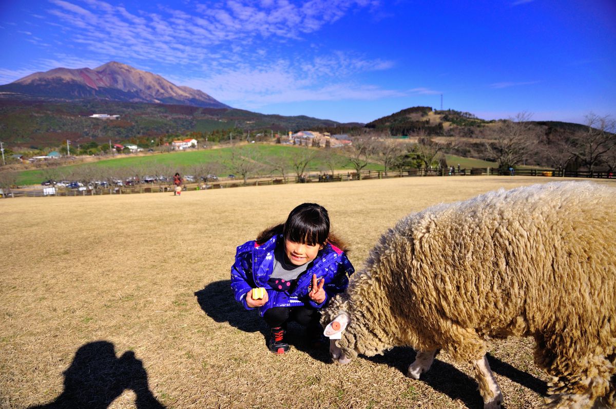 高千穂牧場（宮崎県）