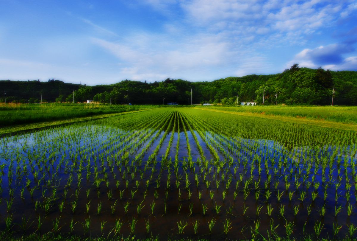 軽井沢