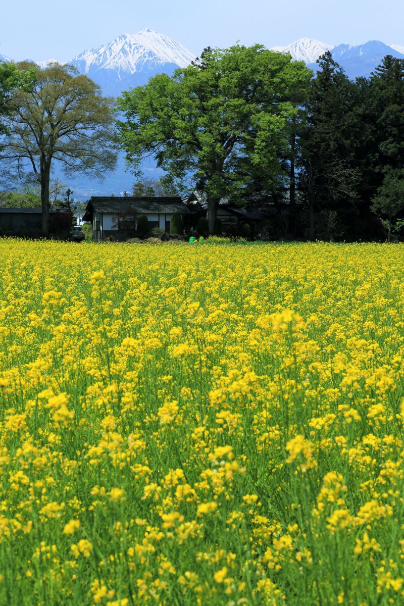 安曇野