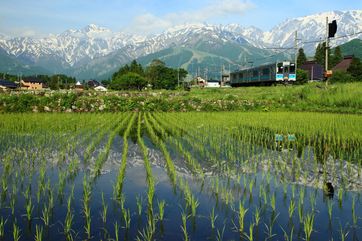 白馬村