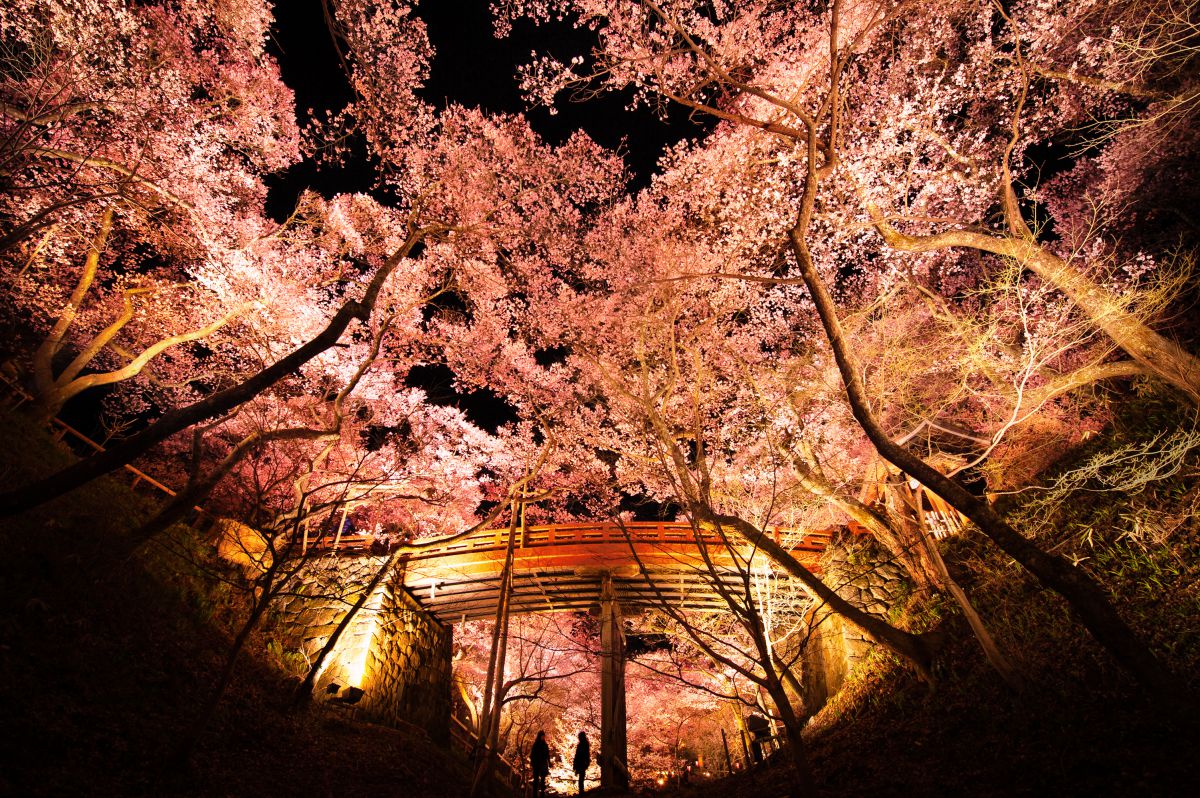 高遠城址公園（長野県）