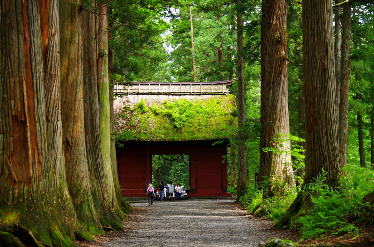 戸隠神社