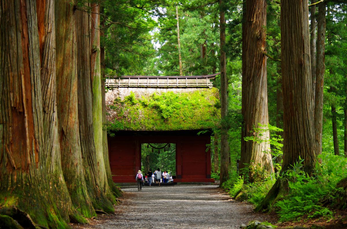 戸隠神社