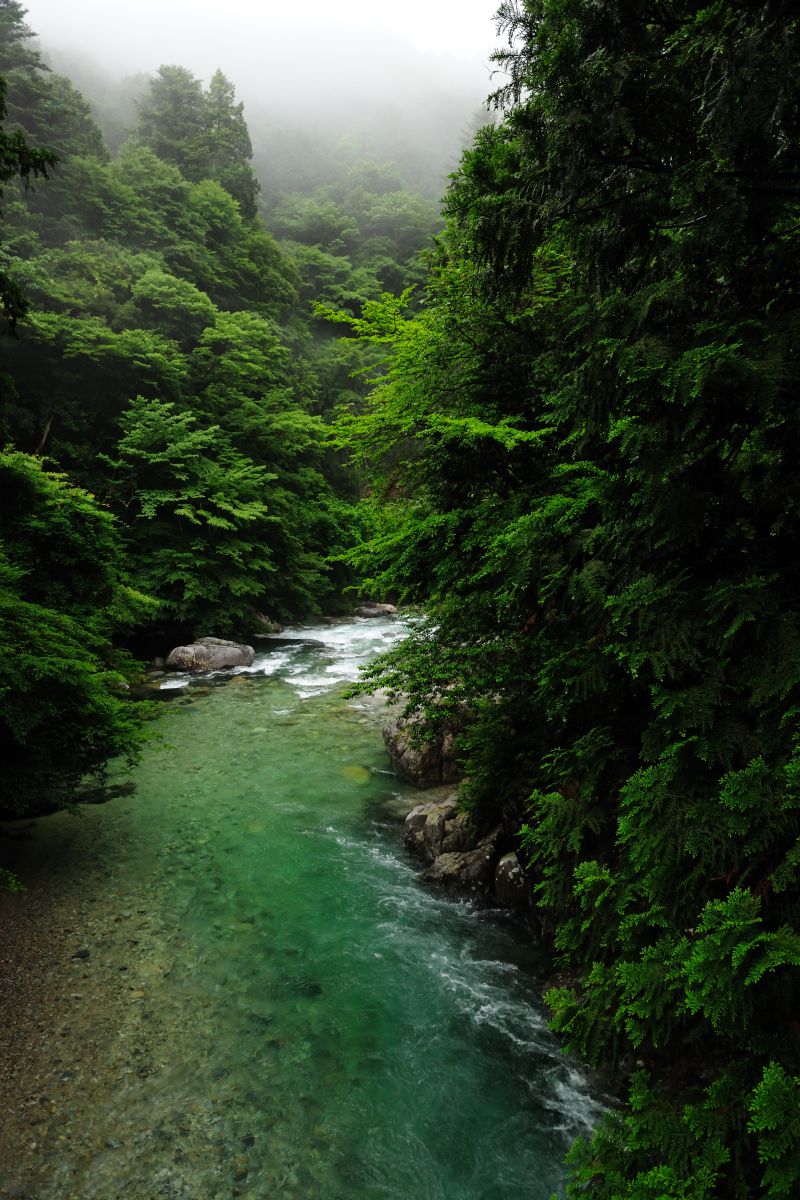 阿寺渓谷（長野県）