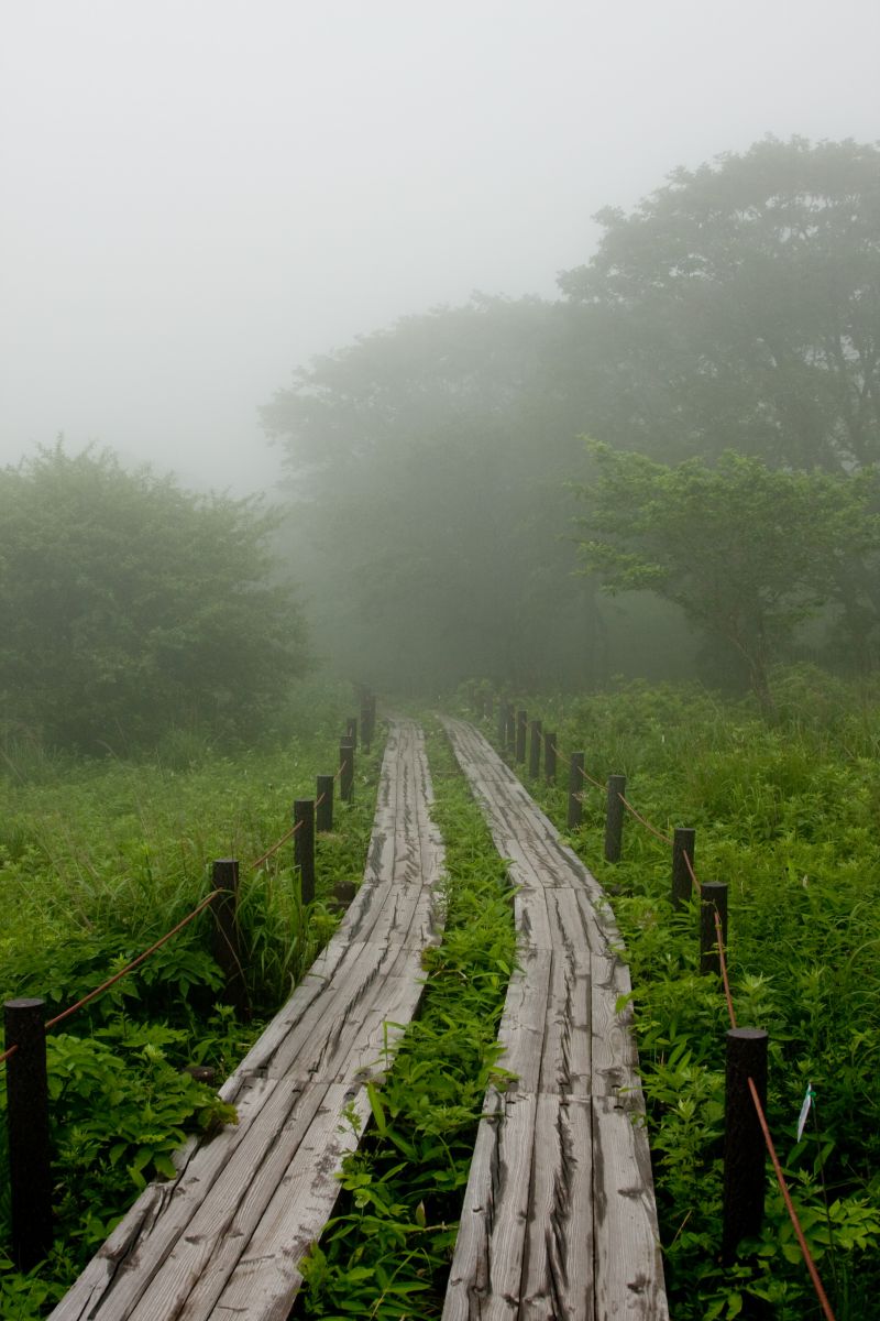 八島ヶ原湿原（長野県）