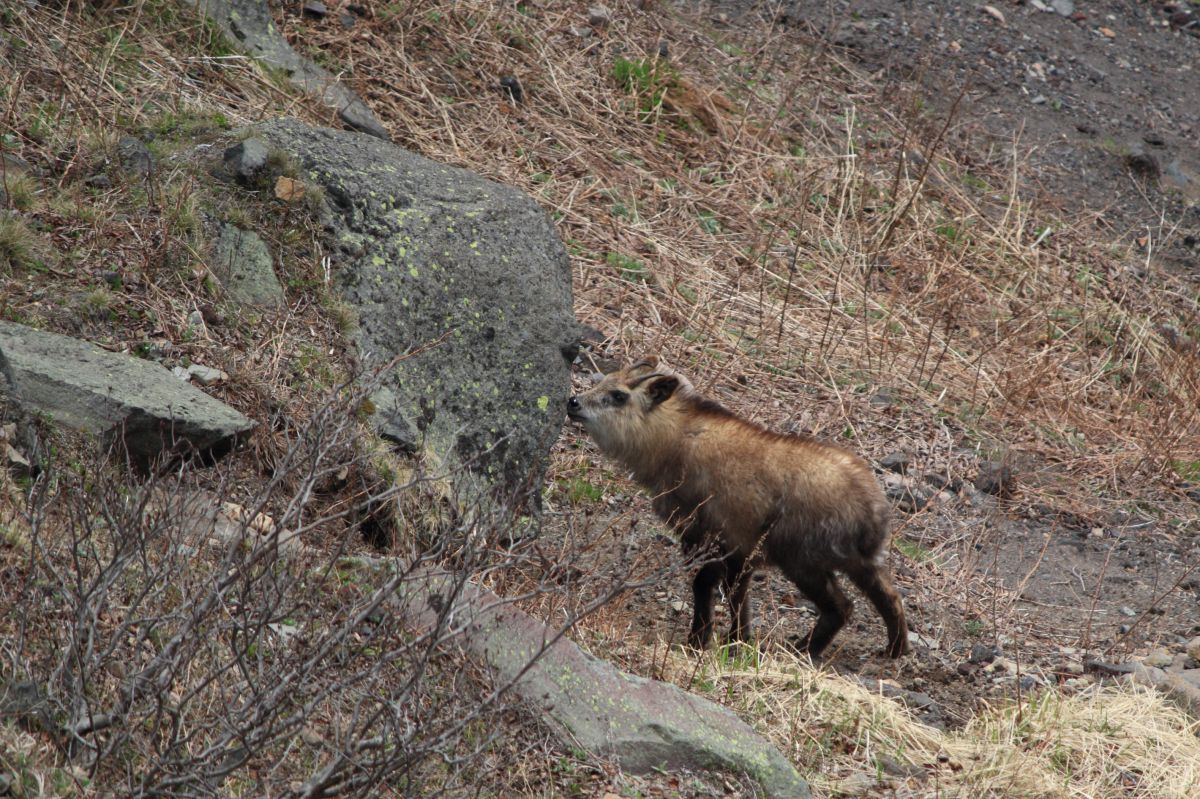 黒斑山（長野県）