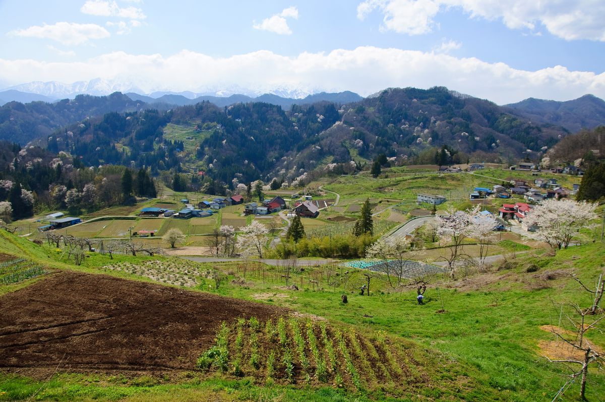 小川村（長野県）