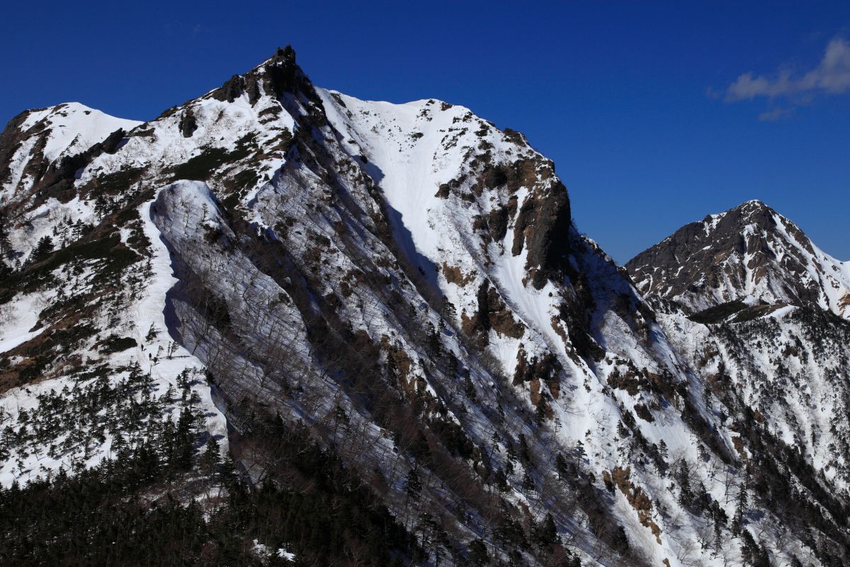 権現岳（長野県）