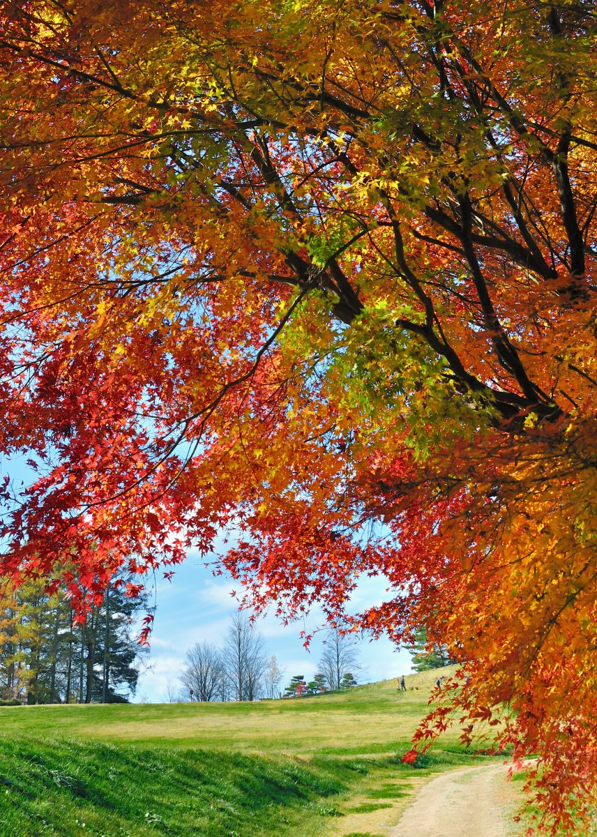 アルプス公園（長野県）