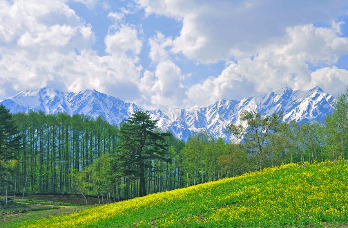 中山高原（長野県）