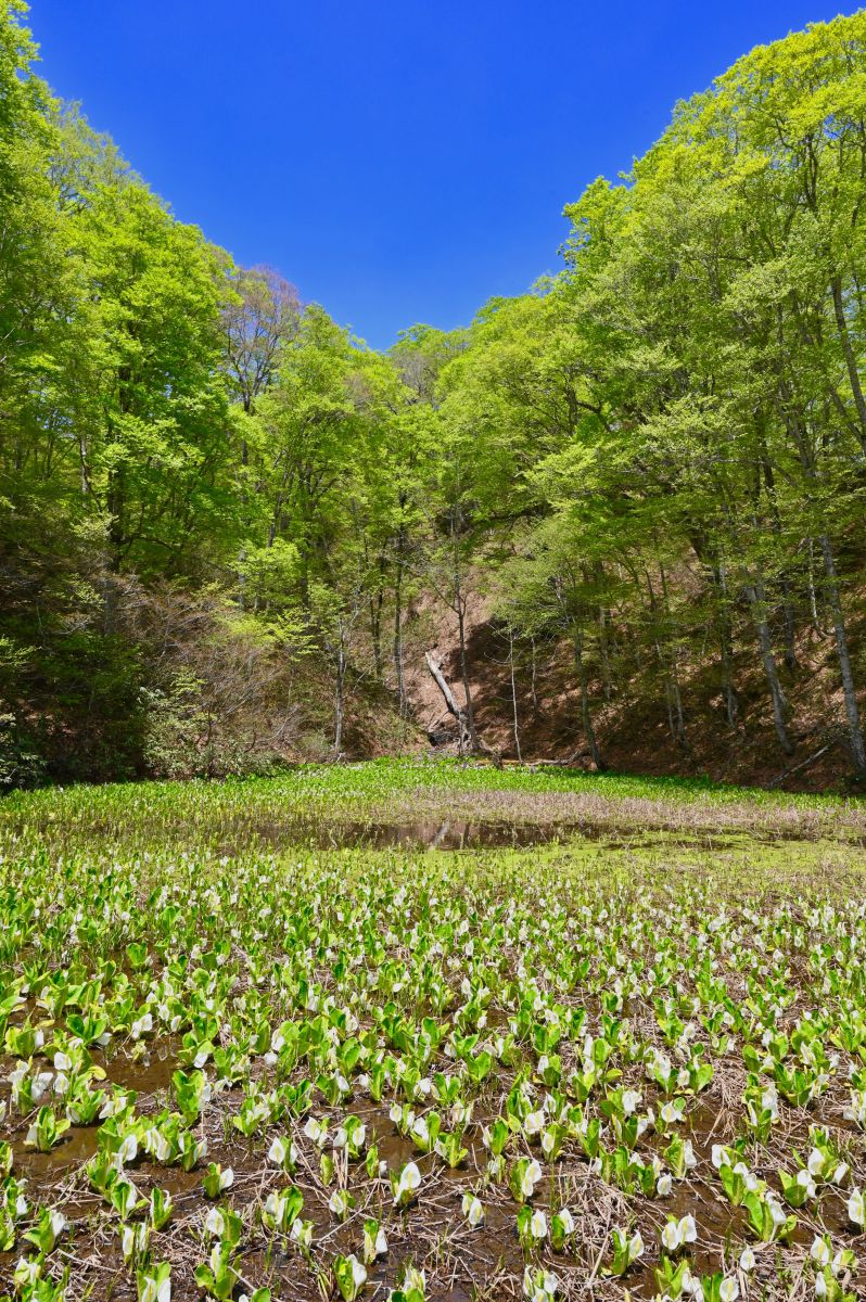 鬼無里（長野県）