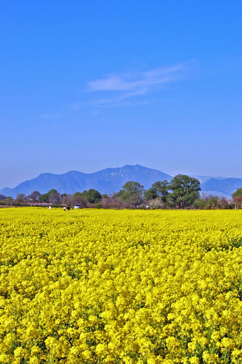 小布施町（長野県）