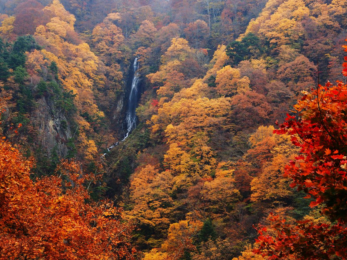 八滝（長野県）