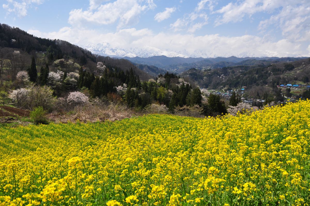 中条（長野県）