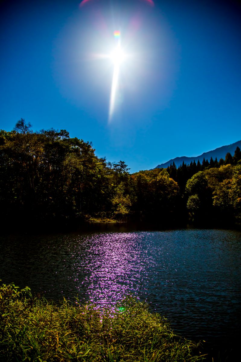 天池（長野県）