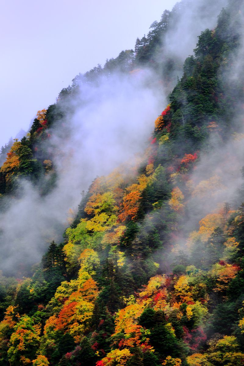 高瀬渓谷（長野県）