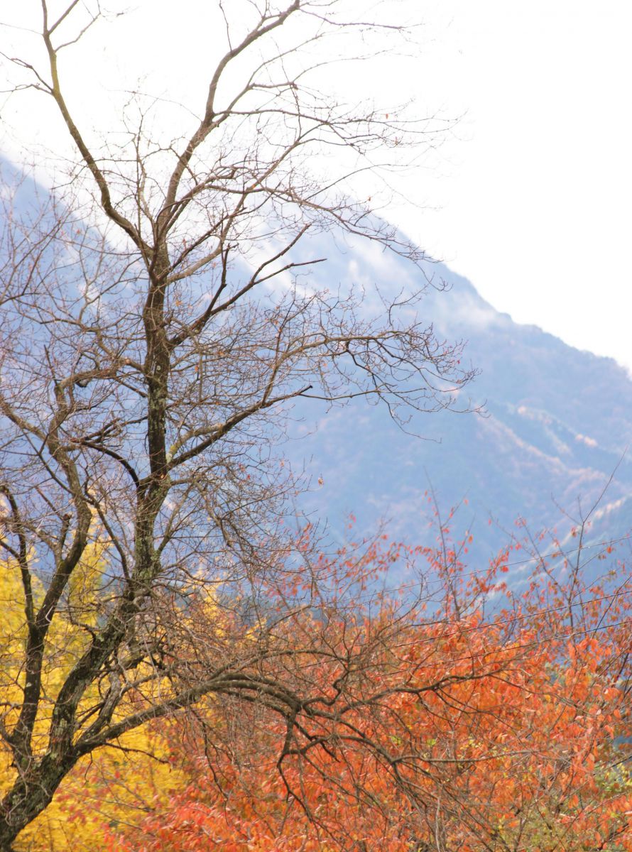 恵那山（長野県）