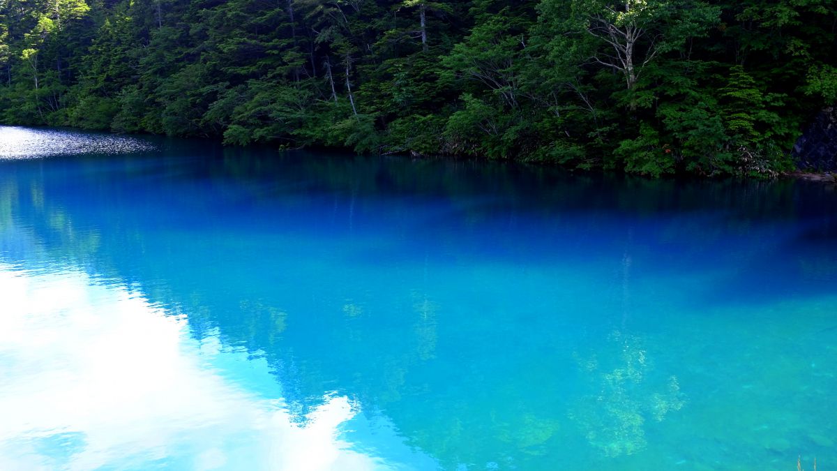 大沼池（長野県）