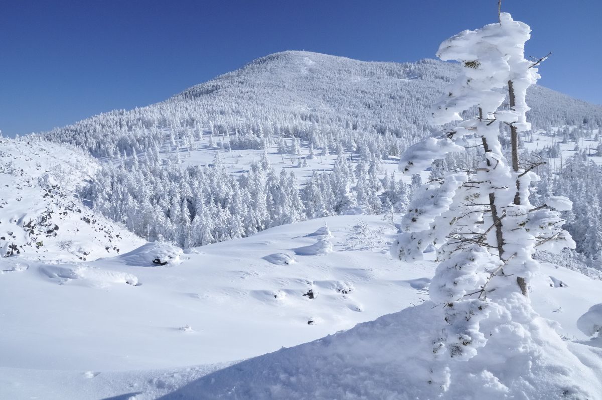 縞枯山（長野県）