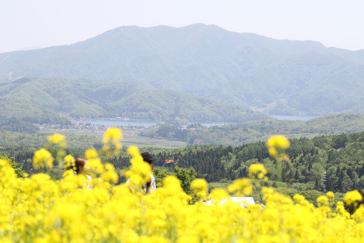 斑尾山（長野県）