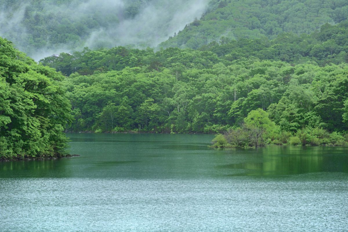 琵琶池（長野県）