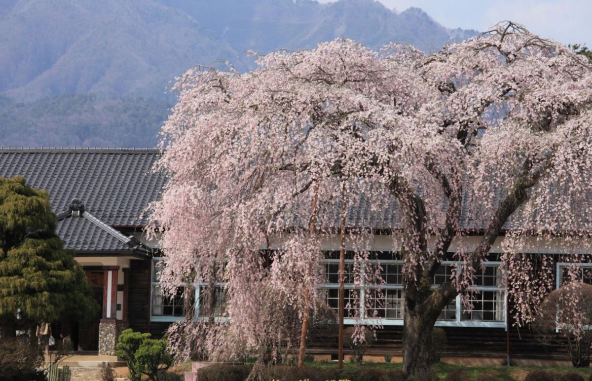 杵原学校（長野県）