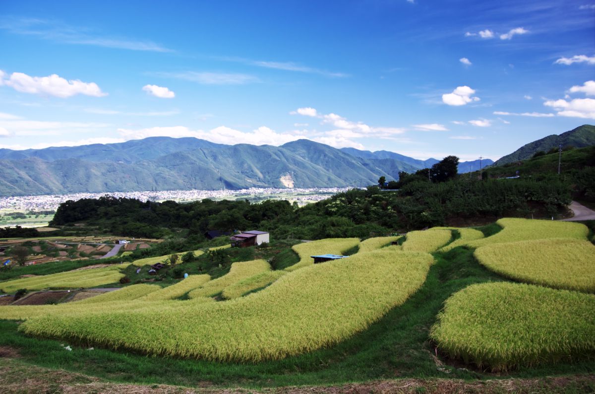 姨捨の棚田（長野県）