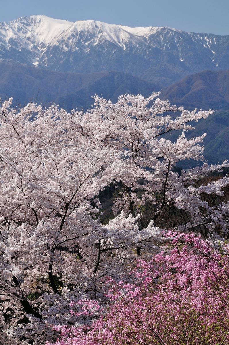 大草城址公園（長野県）