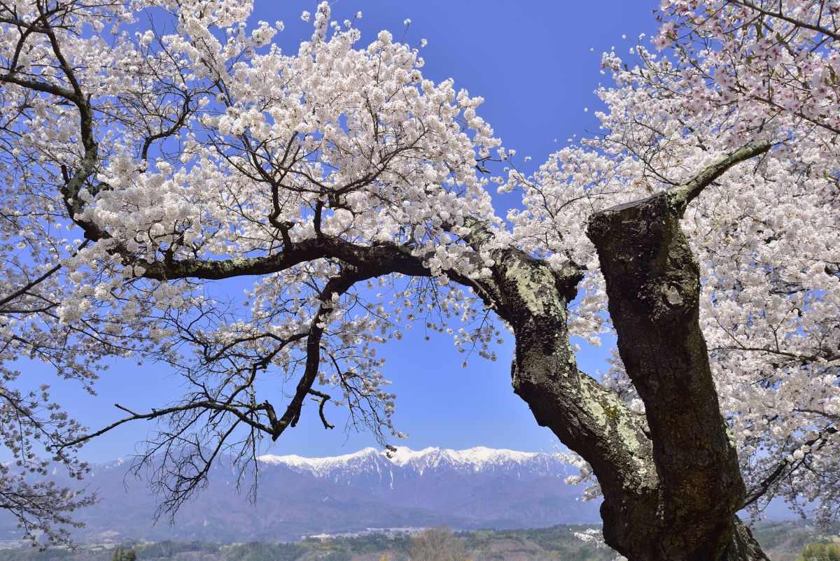 望岳荘（長野県）