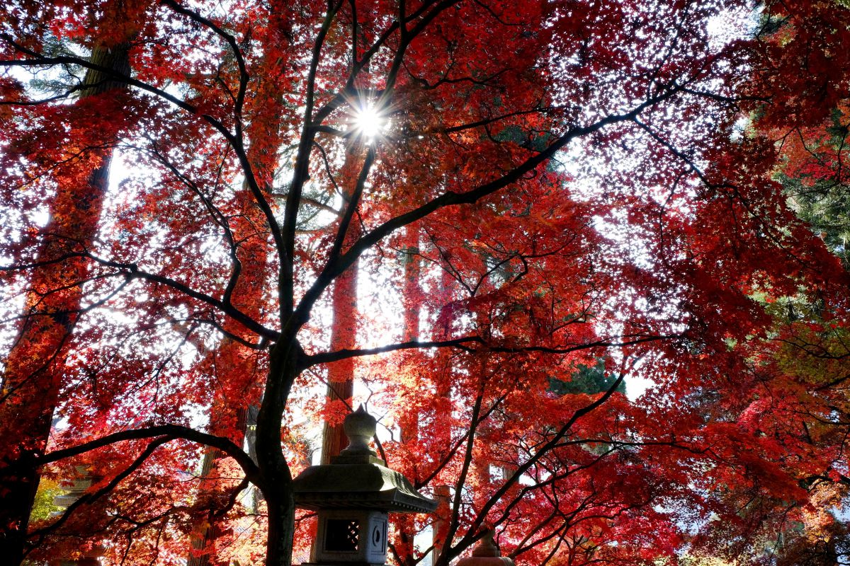 長野　清水寺（長野県）