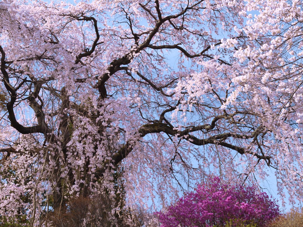 元善光寺（長野県）