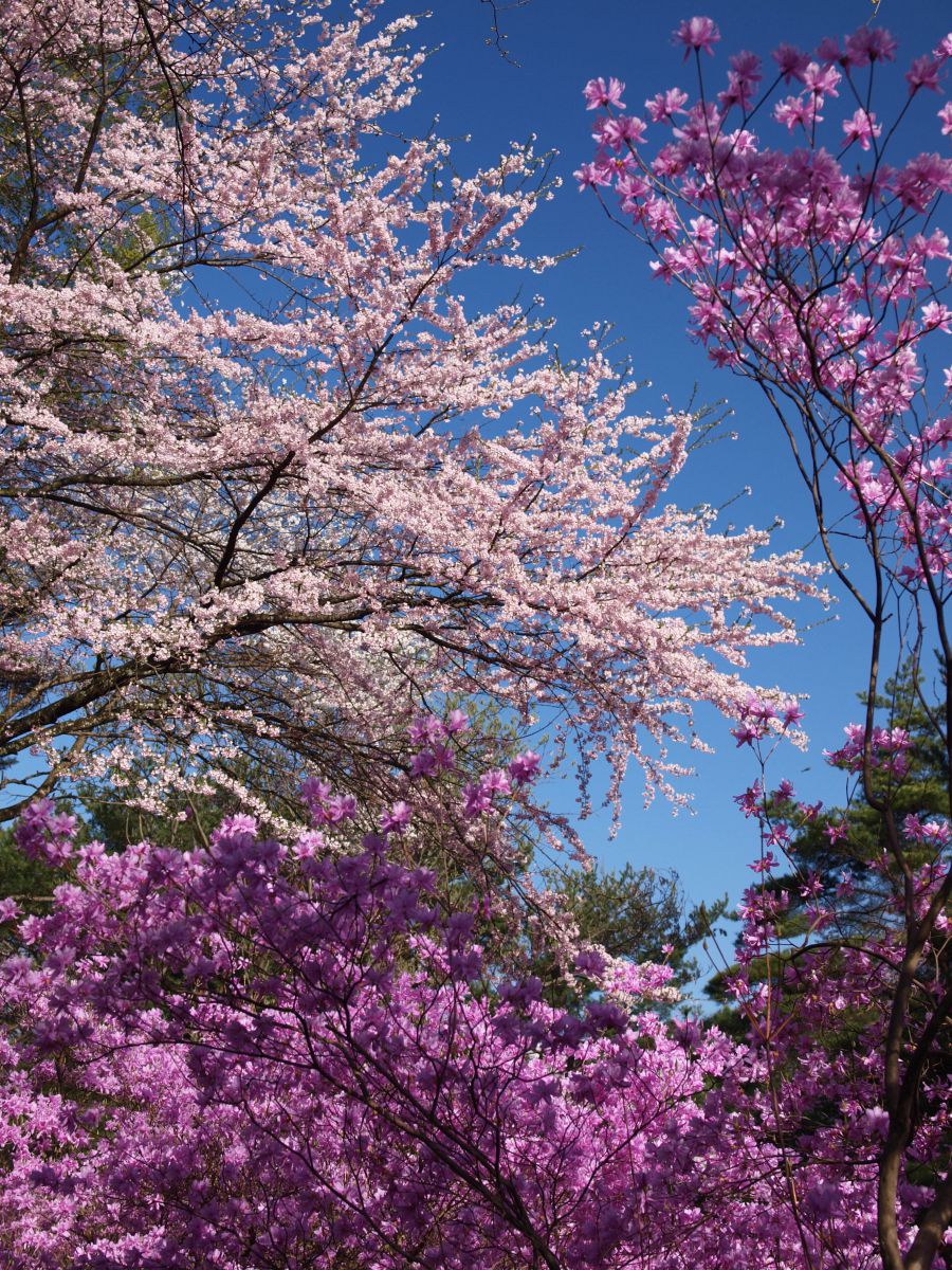 馬見塚公園（長野県）