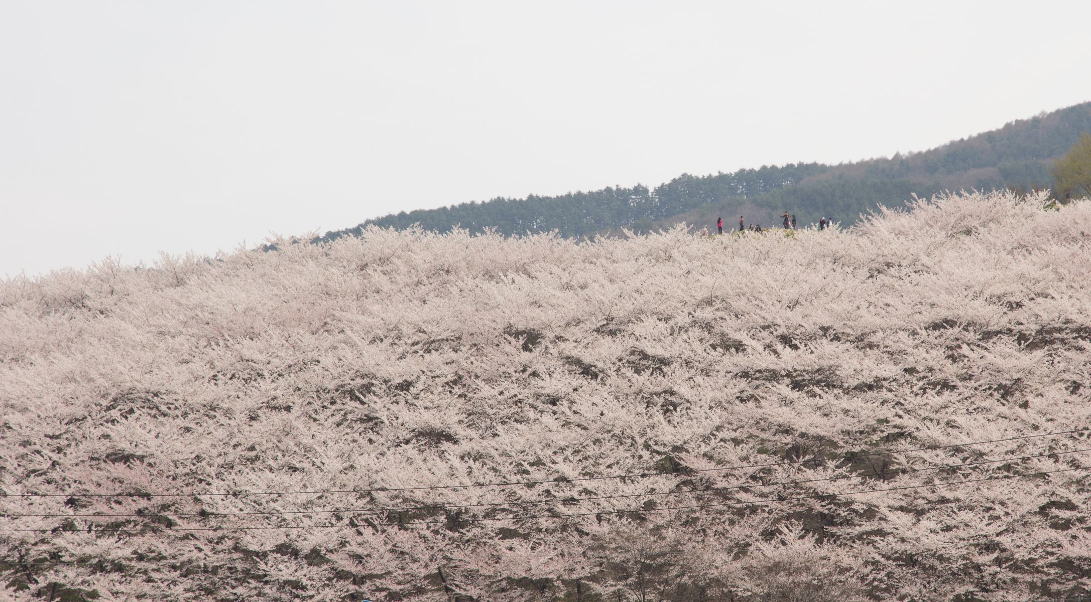 弘法山古墳